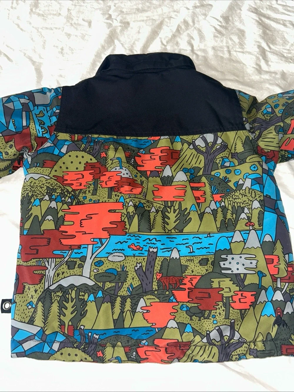 Burton Dry Ride Minishred Twist Insulated Waterproof Snow Jacket Size 4T
